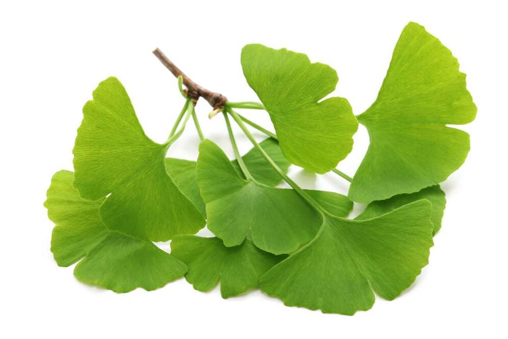 gingko biloba a Kapselen Glucoren